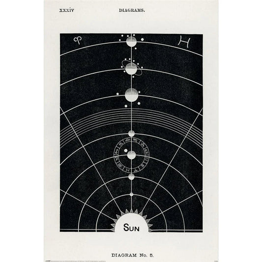 Hiram Erastus Butler (Diagram No.5) - Poster (61 cm x 91.5 cm)