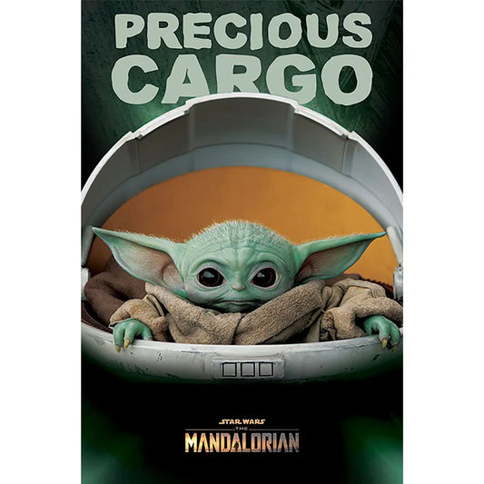 Star Wars The Mandalorian (Precious Cargo) - Poster (61 cm x 91.5 cm)