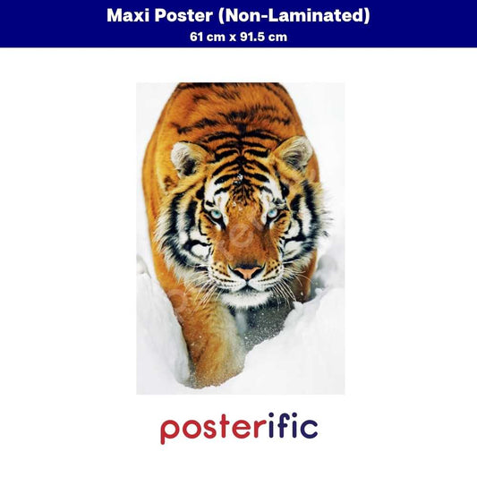 [READY STOCK] Tiger Snow - Poster (61 cm x 91.5 cm)