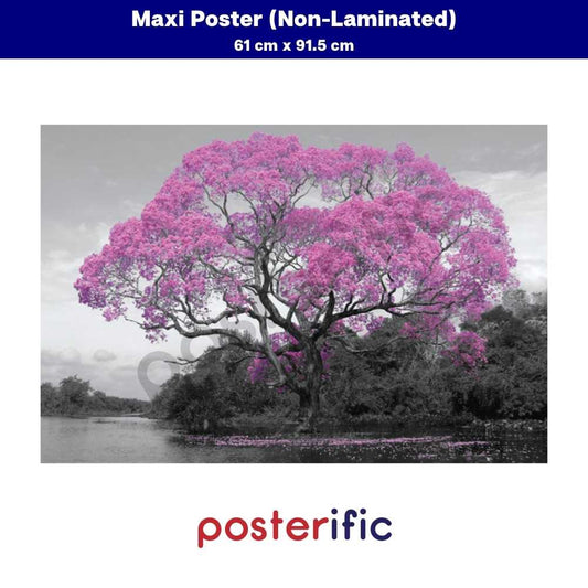 [READY STOCK] Tree Blossom - Poster (61 cm x 91.5 cm)
